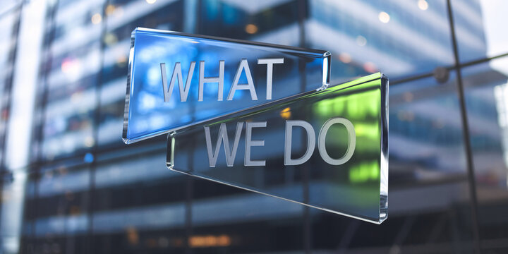 What We Do